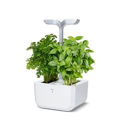 Immagine di Veritable Giardino interno Exky SMART Arctic White Bianco, Bianco (raso) 200 mm 230 V 1 l Regolabile in altezza, Avviso sul livello dellacqua pz.
