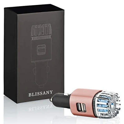 Immagine di BLISSANY Deodorante e ionizzatore per auto, ideale chi soffre di allergie fumatori, pulisce l&#039;aria ed elimina i cattivi odori, in confezione regalo (Copper)