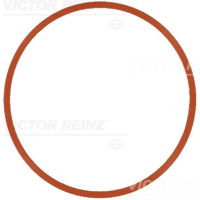 Immagine di REINZ 71 17585 00 Guarnizione Collettore Aspirazione
