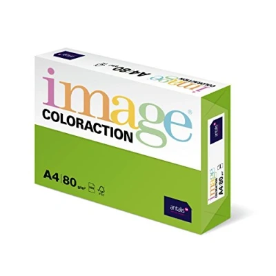 Immagine di Coloraction Antalis 838A Risma di carta 080S 26, formato A4, 80 g/m², colore: verde