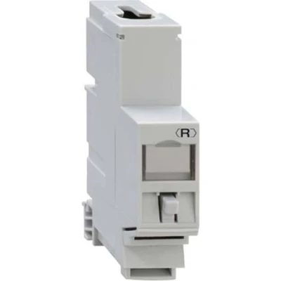 Immagine di Rutenbeck UM Cat.6A iso REG Adattatore di montaggio REG. A 13910200 1 pz.