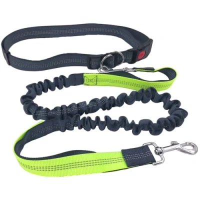 Immagine di QitinDasen Guinzaglio Cani a Mani Libere Grigio, Cintura in Vita Regolabile e Elastico Retrattile Doppia Maniglia, Jogging con Cuciture Riflettenti (Maniglia Verde)