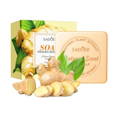 Immagine di Disnace 2 Pezzi Saponetta Solido, Naturale Bio, Sapone Fatto a Mano 100g, al Limone, Allo Zenzero, Latte di Capra Detergente, Solido Corpo (Zenzero)