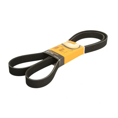 Immagine di CONTITECH 8PK2020 Cinghia Poly V 2020 8