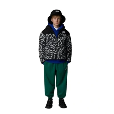 Immagine di The North Face Reversible Shasta F/Z Hooded Giacca per bambiniTnf Black Vector Field 176