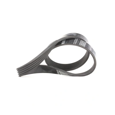 Immagine di BOSCH 1 987 946 134 Cinghia Poly V 705 5 Elastic FORD: Focus 2 Kombi, 2, C Max, VOLVO: V50, C30