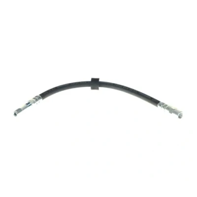 Immagine di DELPHI LH6102 Tubi Freno 365 M10x1 Int SF