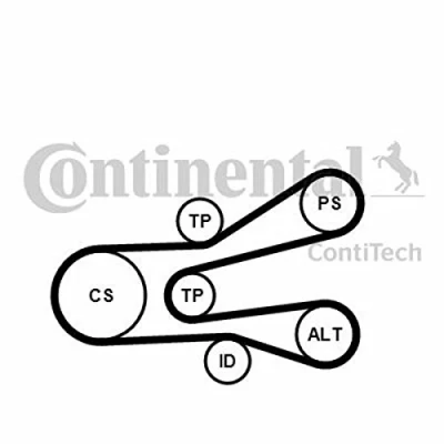 Immagine di CONTITECH 6PK1440K1 Kit cinghie Poly V CITROËN: Jumpy I Van, Xsara Hatchback, Station Wagon, FIAT: Scudo Wagon