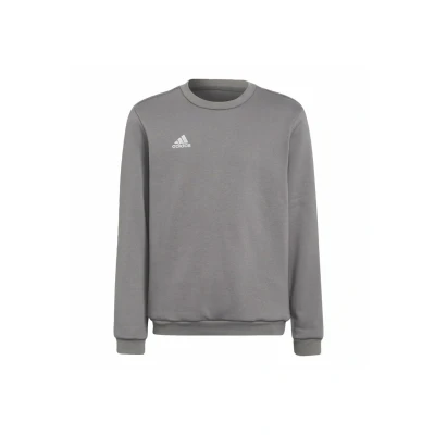 Immagine di adidas Unisex Bambini Entrada 22 Sweat Top, Team Grey Four, 7 8 Years