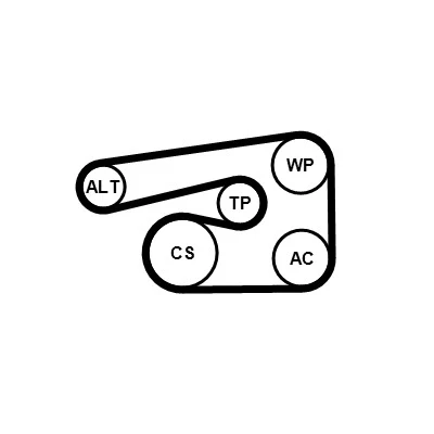 Immagine di CONTITECH 5PK1546K1 Kit cinghie Poly V OPEL: Corsa D Hatchback, Zafira B, Meriva A, ALFA ROMEO: 159 Sportwagon, Sedan, FIAT: Stilo Multi Wagon
