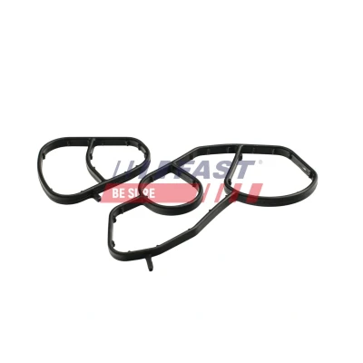 Immagine di FAST FT48934 Guarnizioni PEUGEOT: 307 SW, Partner II Tepee, 207 Hatchback, CITROËN: C4 Picasso 1, C3 Picasso, DS3 MINI: Clubman