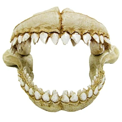 Immagine di Amtra Denti di Squalo Decorazione acquario artificiale in resina, Scenografico, Atossico, 21,3X14,2X13,2 CM