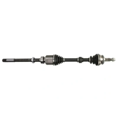 Immagine di Albero motore/Semiasse PASCAL G22029PC