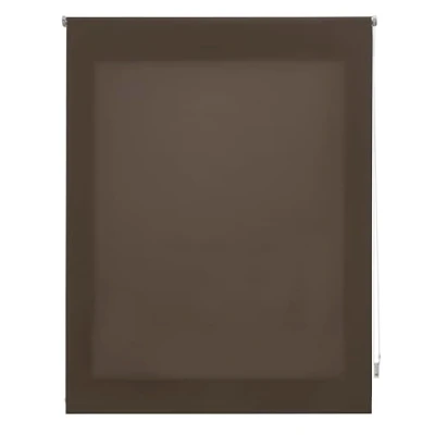 Immagine di INTERBLIND Tenda avvolgibile trasparente, 160 x 175 cm (larghezza per altezza) misura del tessuto, 157 170 traslucida talpa finestre premium