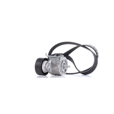Immagine di DAYCO KPV110 Kit cinghie Poly V FIAT: Panda III Hatchback, Punto II LANCIA: Ypsilon III, Musa,