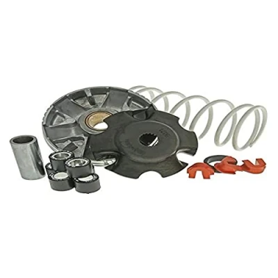 Immagine di Variatore Malossi Multivar 2000 Piaggio Zip 4T 50cc, Liberty molla di contropressione, bianco, peso: 19 x 15,5 mm 6,10 g