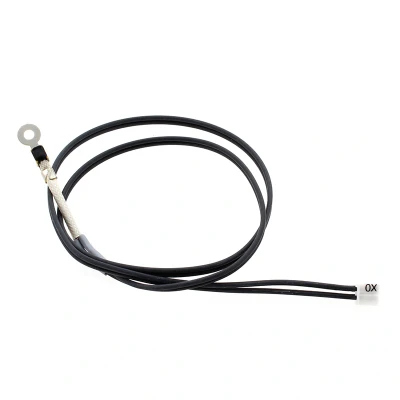 Immagine di Whirlpool Indesit 481221078032 sensore di temperatura C00314612