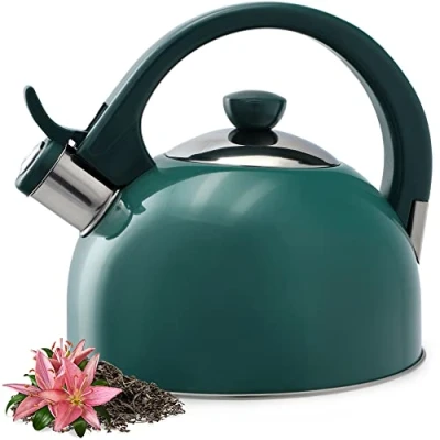 Immagine di KADAX bollitore in acciaio inox, da 1,7 l, disponibile diversi colori, per tutti i piani cottura, retrò a flauto (verde)