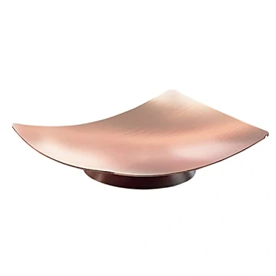 Immagine di Gedy Rame, G Elettra, Sapone Colore, Porta saponetta Bagno Realizzata in Acciaio Inox, Misure 2 x 11 8 cm e 0,072 kg, Anni di Garanzia, Design: R&amp;S Inossidabile, Unica