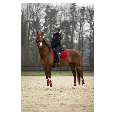 Immagine di BR fetlock boots XO2