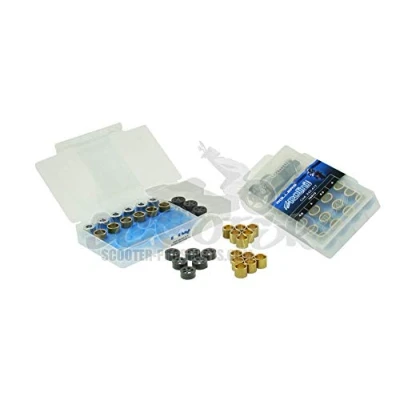 Immagine di Polini Tuning Set per Variomatics 16x13 mm 4,5 6,0 oz