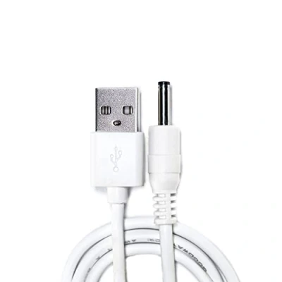 Immagine di Caricatore LELO USB
