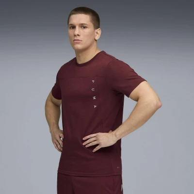 Immagine di Puma TECH Triblend TEE Tshirt sport, Uomo, Taglia: XXL, Ruby shimmer