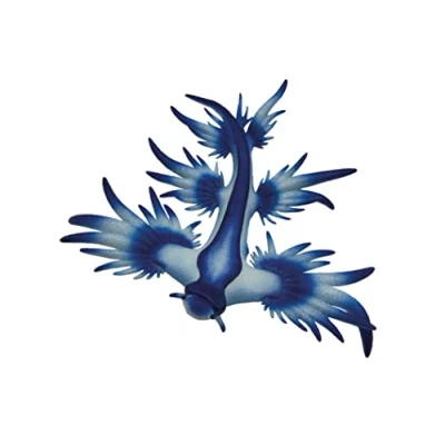 Immagine di Bullyland 67511 Personaggio ludico Blue Ocean Snail, Animale Alta Circa 6,5 cm, Fedele ai Dettagli, priva di PVC, Ideale Come Figura per Torte e Piccolo Regalo Bambini dai 3 Anni in su,