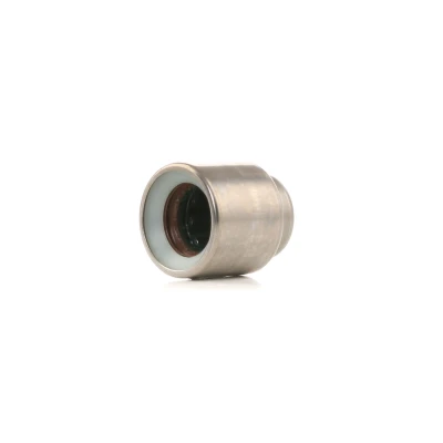 Immagine di SACHS 1863 869 005 Cuscinetto di guida, Frizione AUDI: A4 B6 Avant, A6 C5 Sedan
