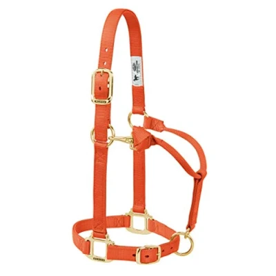 Immagine di Weaver Leather Cavezza Regolabile in Nylon Originale per Cavalli, Colore Arancione