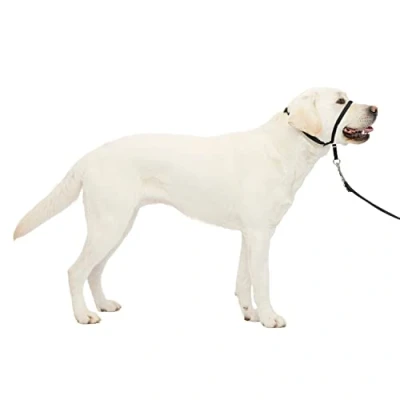 Immagine di PetSafe Collare a cavezza Easy Walk per cani di taglia grande (L), comoda, anti trazione, con guinzaglio in nylon (incluso) Nero