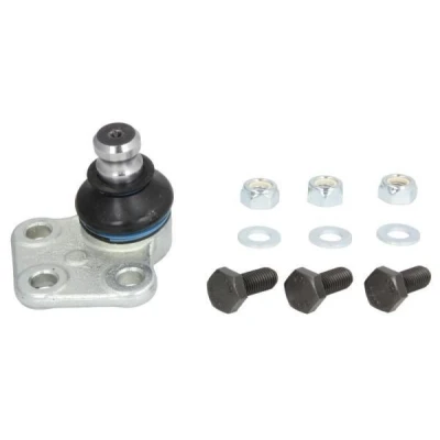 Immagine di REINHOCH RH03 2030 Testina braccio oscillante Assale anteriore Dx, inferiore 20 RENAULT: Kangoo II Express, SCENIC 2, MEGANE 2