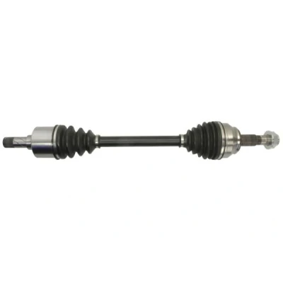 Immagine di Albero motore/Semiasse PASCAL G2F038PC