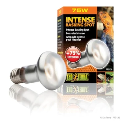 Immagine di Exo Terra PT2136 Ex Intense Basking Spot R20/75W