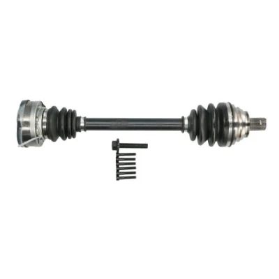 Immagine di Albero motore/Semiasse PASCAL G2S031PC