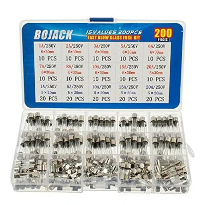 Immagine di BOJACK 15 Valori 200 pezzi Kit di classificazione dei fusibili in vetro a fusione rapida 250V 5x20mm 6x30mm 0.25 0.5 1 2 3 4 5 6 7 8 10 12 20A packag una scatola plastica trasparente