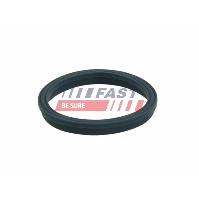 Immagine di FAST FT49407 Guarnizione Collettore Aspirazione Entrata MVQ ( Silicone Caucciù)