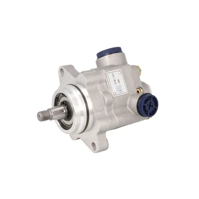 Immagine di DT Spare Parts 1.19113 Pompa Idroguida idraulico 170