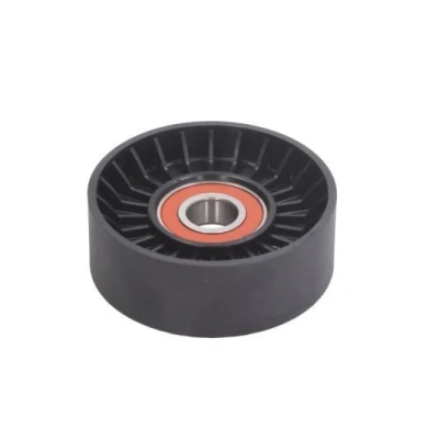 Immagine di BTA B05 02 036 Rullo Tendicinghia