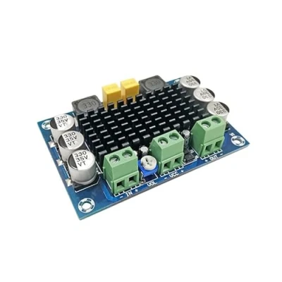 Immagine di HOOCI TPA3116D2 Mono 100W HIFI Scheda amplificatore di potenza audio digitale TPA3116 DC 12 24V