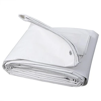 Immagine di WOLTU Telone Occhiellato Impermeabile, Telo di Copertura con Occhielli, Protezione Anti UV e Antipioggia in PE per Barca, Auto, Piscina, Bianco, 280 g/m², 4x8m