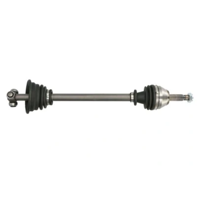 Immagine di PASCAL G2R022PC Albero motore / Semiasse Assale anteriore Sx 638 RENAULT: 19 II Hatchback
