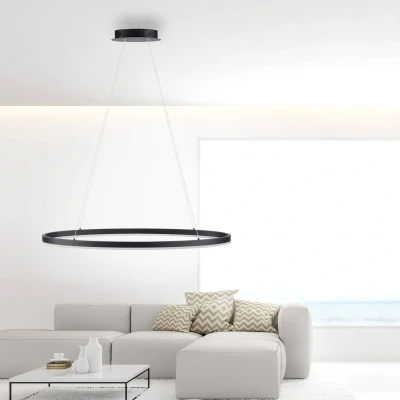 Immagine di Paul Neuhaus Titus Lampada a sospensione LED, ovale 80x39cm