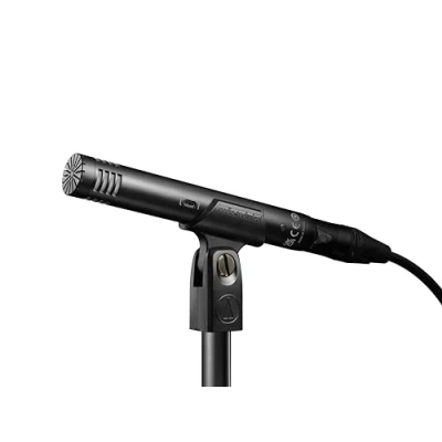Immagine di Audio Technica AT2031 Microfono a condensatore cardioide con indirizzo finale per strumenti corda in studi critici e applicazioni live.