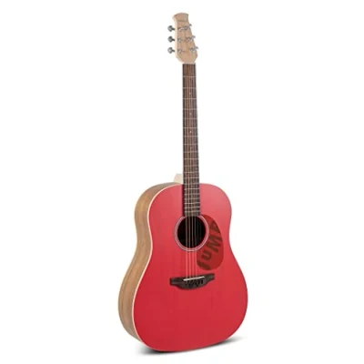 Immagine di Chitarra acustica Applause Jump Slope Shoulder Dreadnought Lipstick AAS 69 R