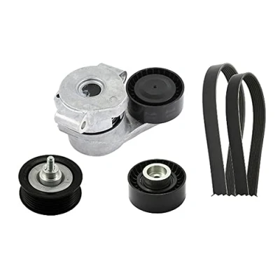 Immagine di INA 529 0301 10 Kit cinghie Poly V Controllare corsa libera generatore ed ev. sostituire, Attrezzi speciali necessari per montaggio