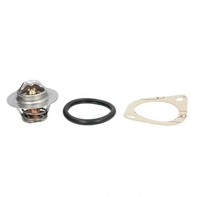 Immagine di CALORSTAT by Vernet TH5977.92J Termostato motore 92 51,9 con guarnizione