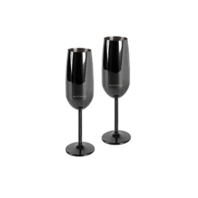Immagine di ECHTWERK Set di bicchieri da champagne 2 pezzi in acciaio inox, edizione nera, 250 ml, 22,5 x 6,3 cm