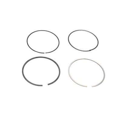 Immagine di GOETZE ENGINE 08 427300 00 Kit Fasce Elastiche 85 BMW: 5 Sedan, 3 Touring, Sedan