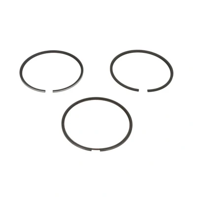 Immagine di GOETZE ENGINE LKZ Ring 08 123400 30 Kit Fasce Elastiche 76 NISSAN: Qashqai / Qashqai+2 I, MICRA 3, 2, RENAULT: MEGANE 3 Grandtour mister auto,